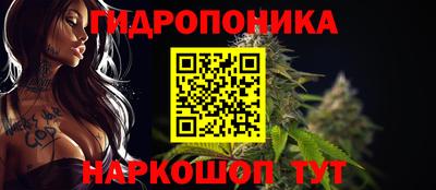 spice Заводоуковск