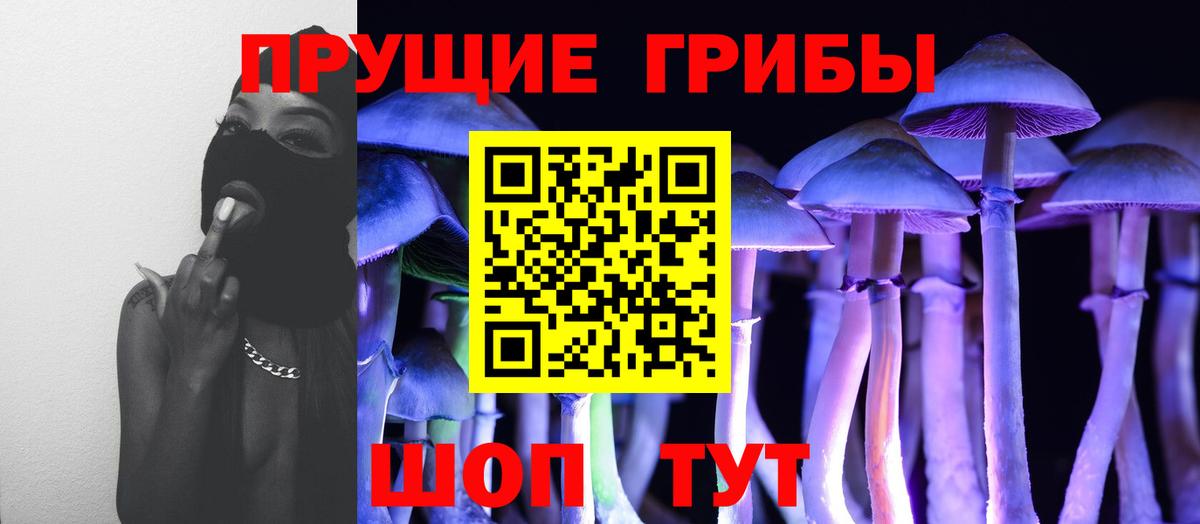 Псилоцибиновые грибы мицелий  Вход с VPN  Минеральные Воды 
